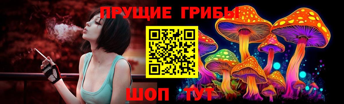 Псилоцибиновые грибы GOLDEN TEACHER Спасск-Дальний